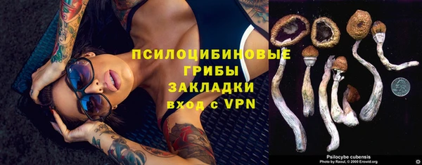тгк Балабаново