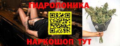 гашик Волжский