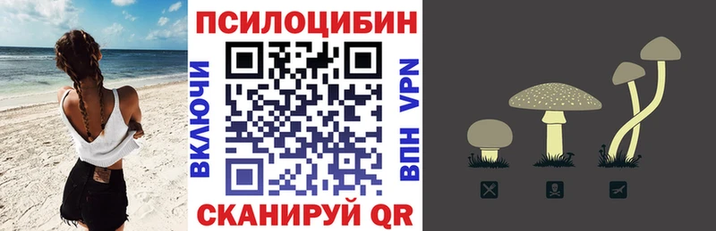 Псилоцибиновые грибы мицелий  как найти   Буйнакск 