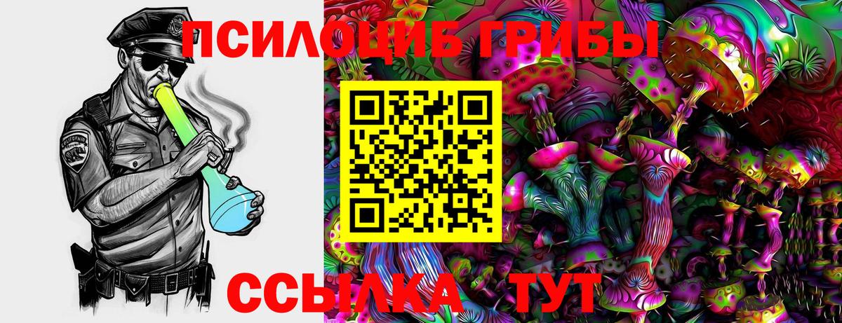 Галлюциногенные грибы мухоморы Буйнакск